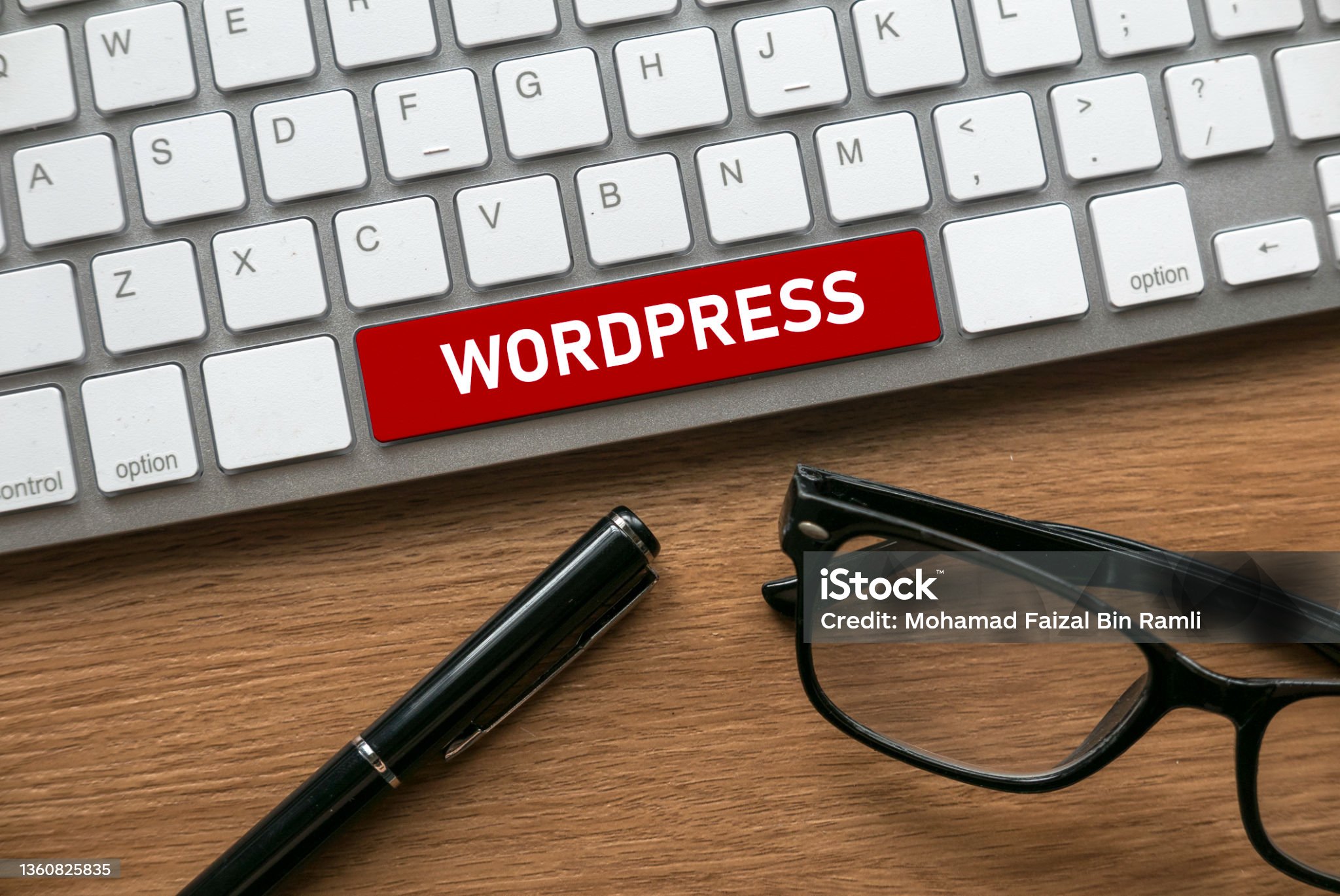 React Vite Development